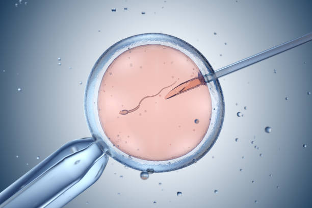 Busting Myths About IVF Treatment for Fertility