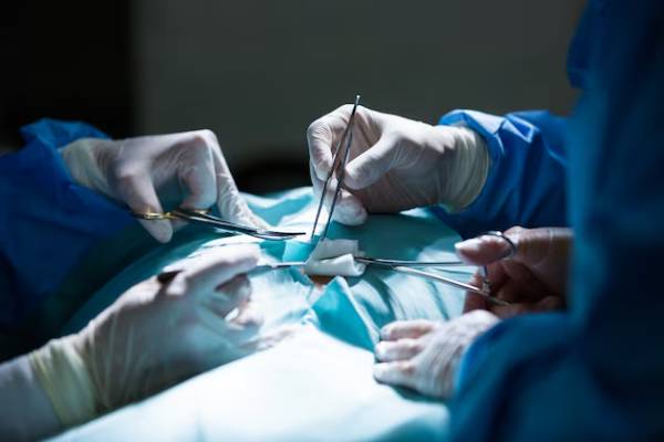 Why Body Donation to Science Is Essential for Training Future Surgeons