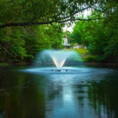 The Psychology of Water: How Pond Fountains Can Improve Your Mood and Reduce Stress